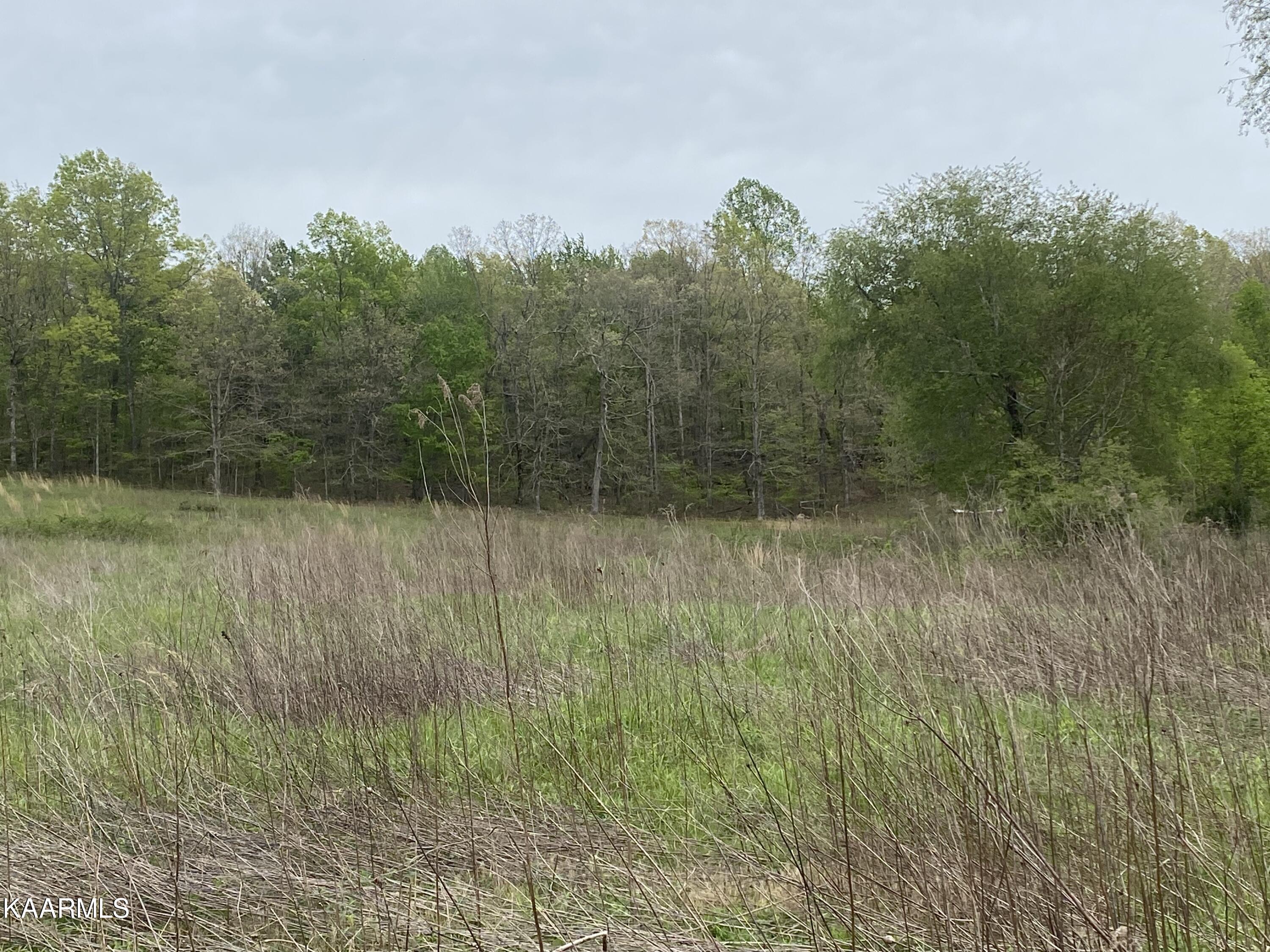 Bud Tanner Road Crossville, TN 38571 - Photo 9 of 13 20E53416-2DE8-4A9D-B24E-FAFEB297CB03