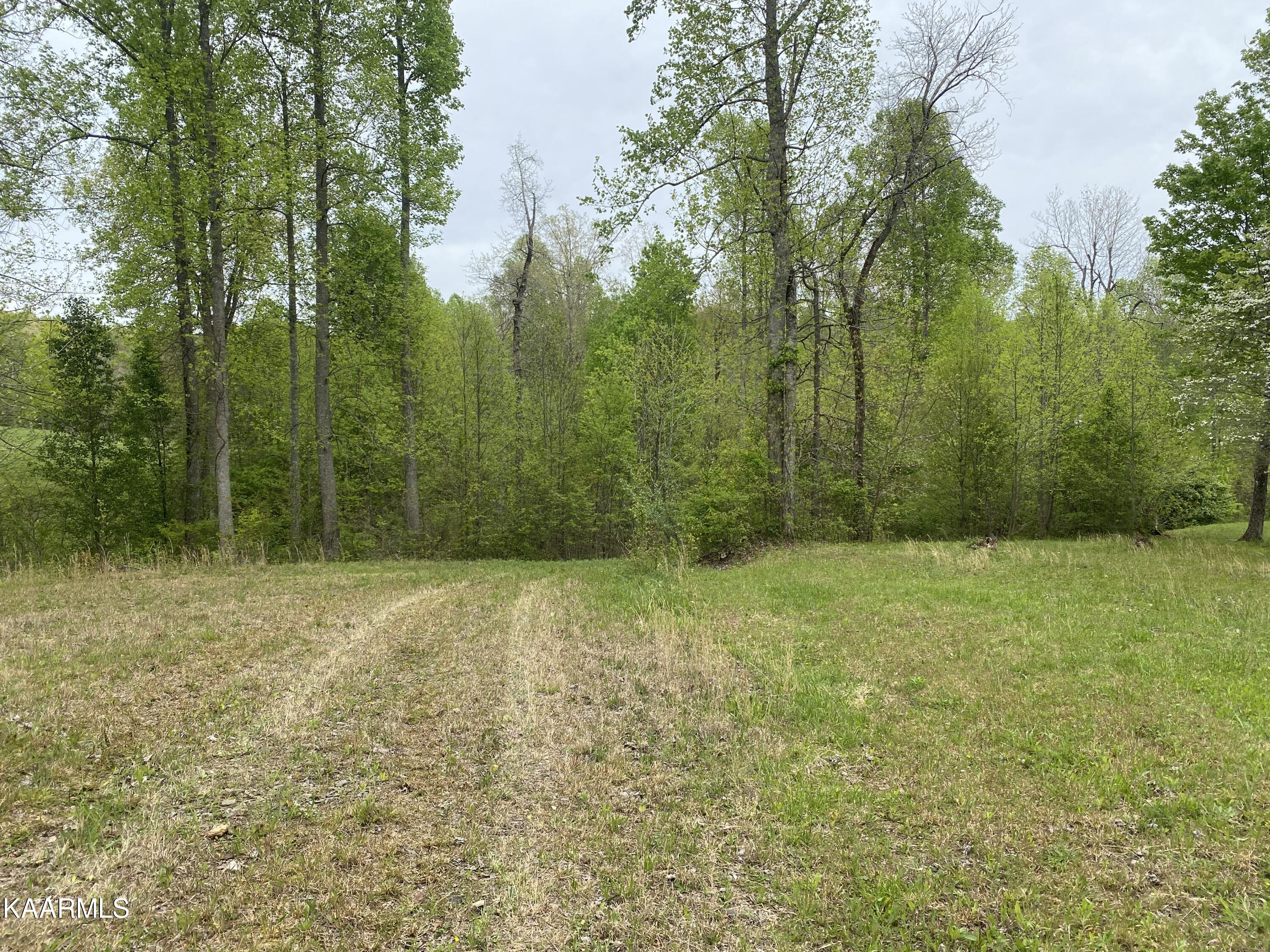 Bud Tanner Road Crossville, TN 38571 - Photo 10 of 13 F220048E-A609-4540-8A04-FD3F98FBB67B