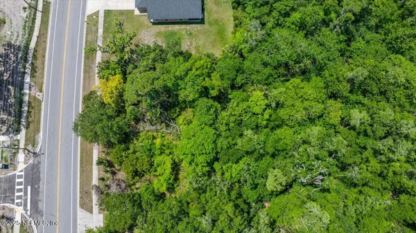 a view of a plant in a garden