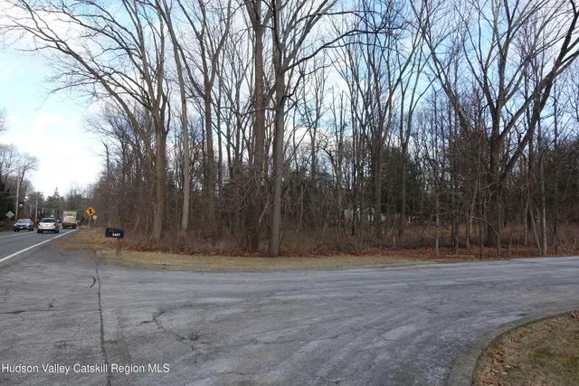a view of a yard with trees