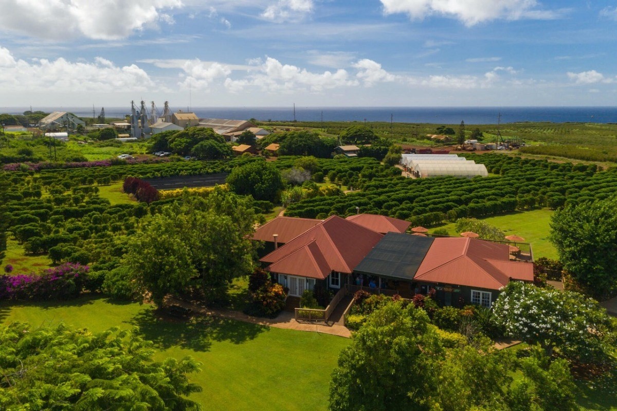 3559 Hanapepe Road Hanapepe, HI 96716 - Photo 28 of 30 Gallery Image 28