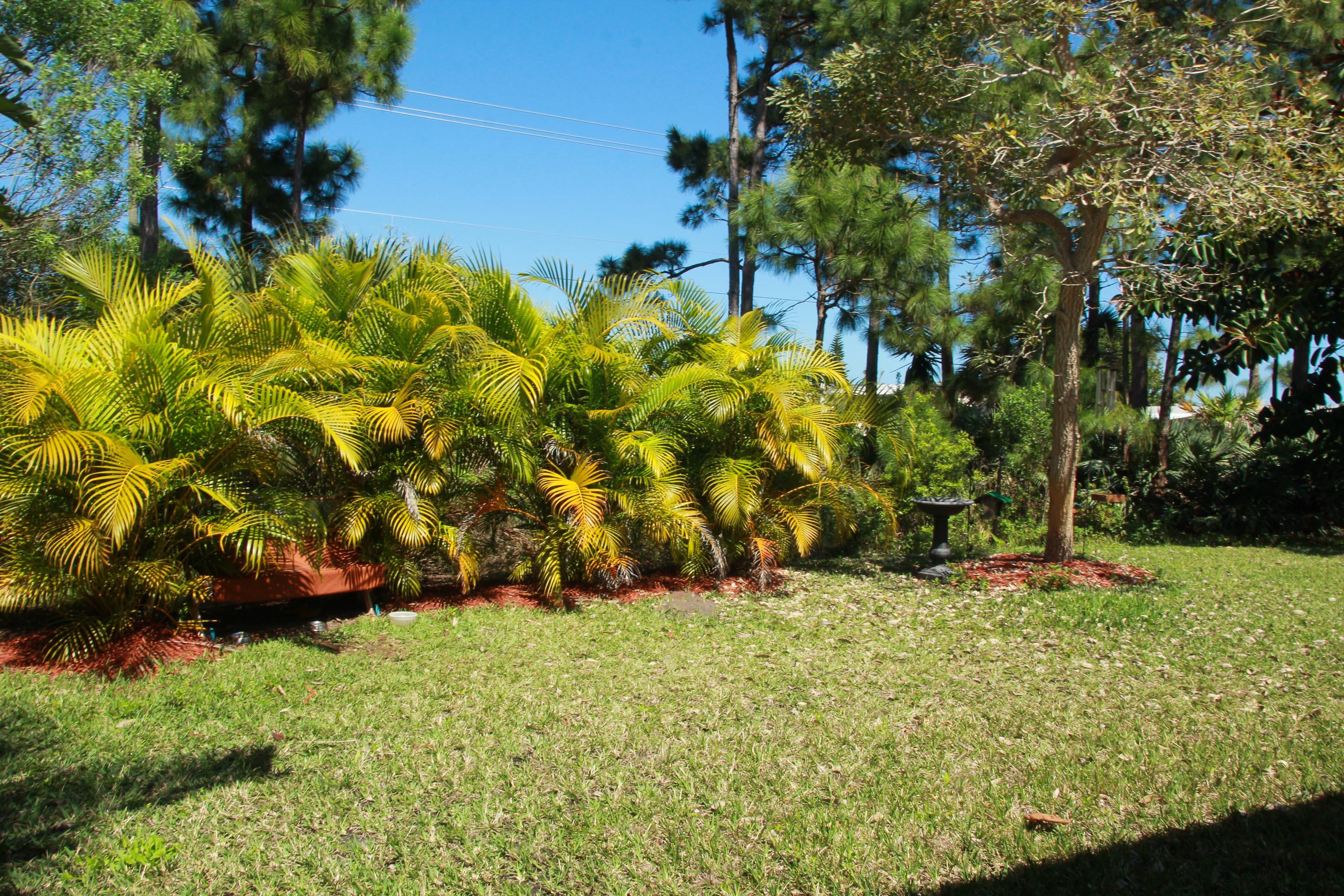 6016 Spring Lake Terrace Fort Pierce, FL 34951 - Photo 18 of 19 Backyard.jpg