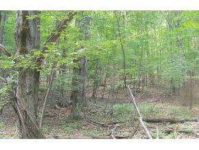 139-129 Nelson Road Vestal, NY 13850 - Photo 3 of 6 Gallery Image 3