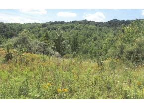 139-129 Nelson Road Vestal, NY 13850 - Photo 4 of 6 Gallery Image 4