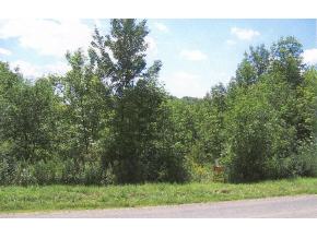 139-129 Nelson Road Vestal, NY 13850 - Photo 6 of 6 Gallery Image 6