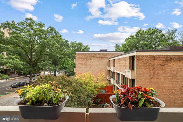 a view of a garden with a potted plant