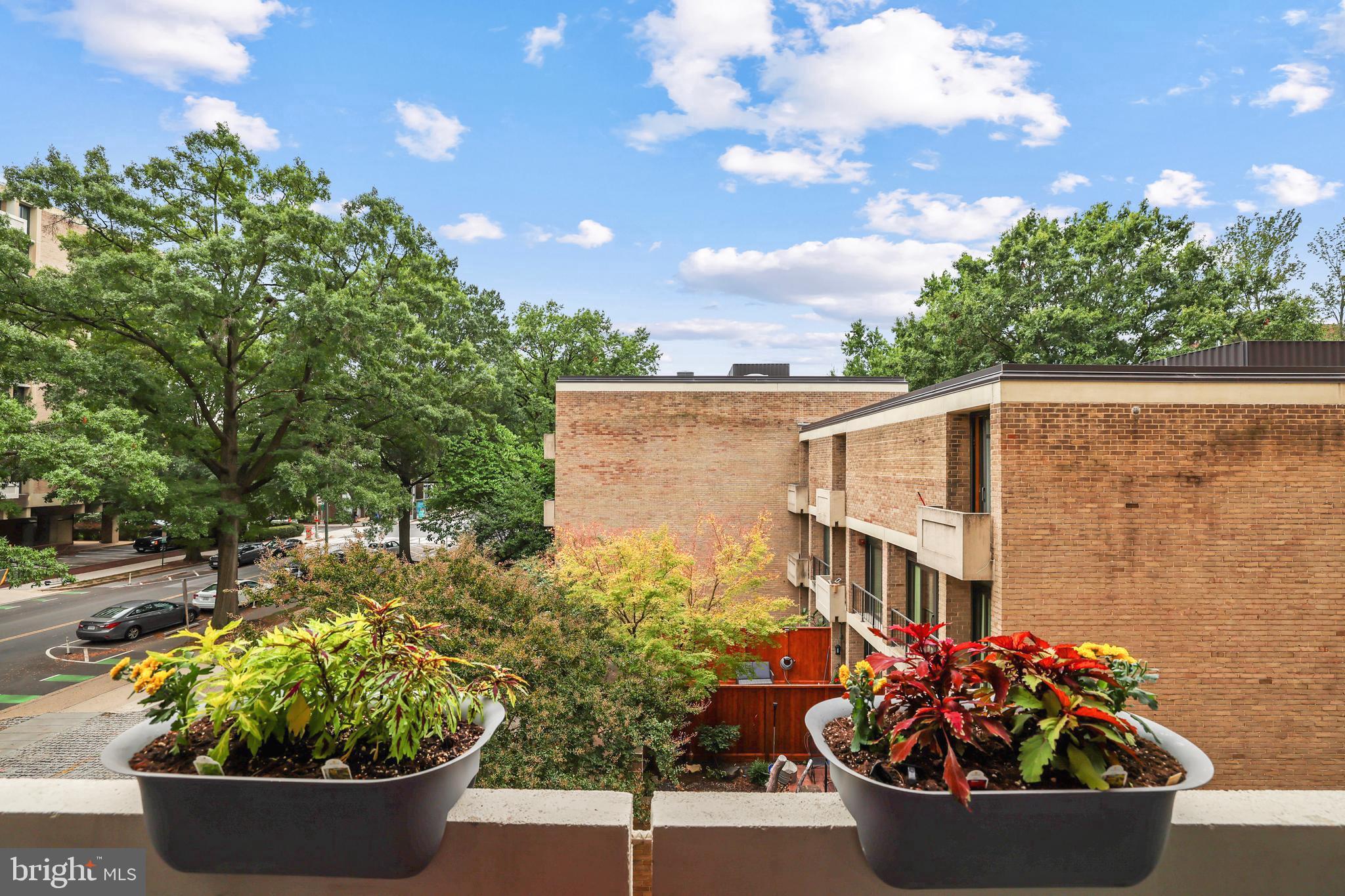 1245 4th Street Southwest, Unit E106 Washington, DC 20024 - Photo 1 of 33 a view of a garden with a potted plant