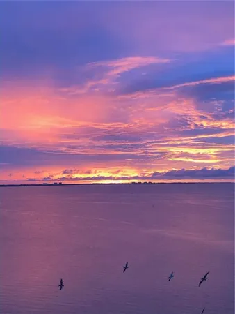 $7,000 | 988 Boulevard Of The Arts, Unit 1617, Sarasota, FL 34236