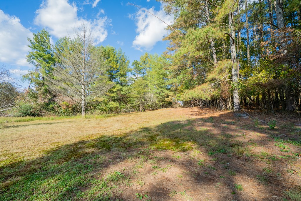1207 Lee Bryant Road Northeast Dalton, GA 30721 - Photo 74 of 83 Gallery Image 74