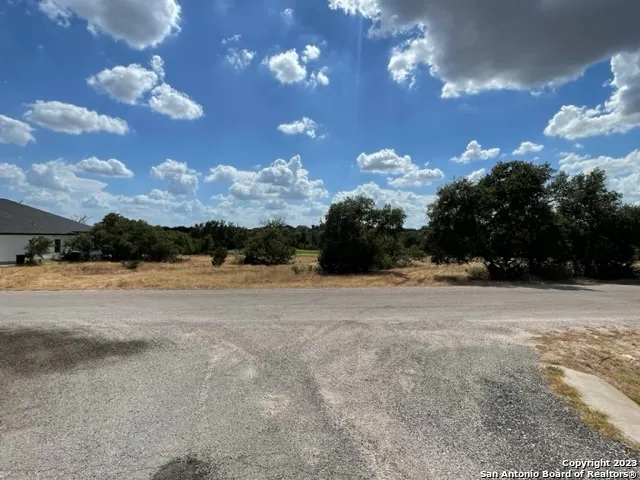 a plant that is in front of a door
