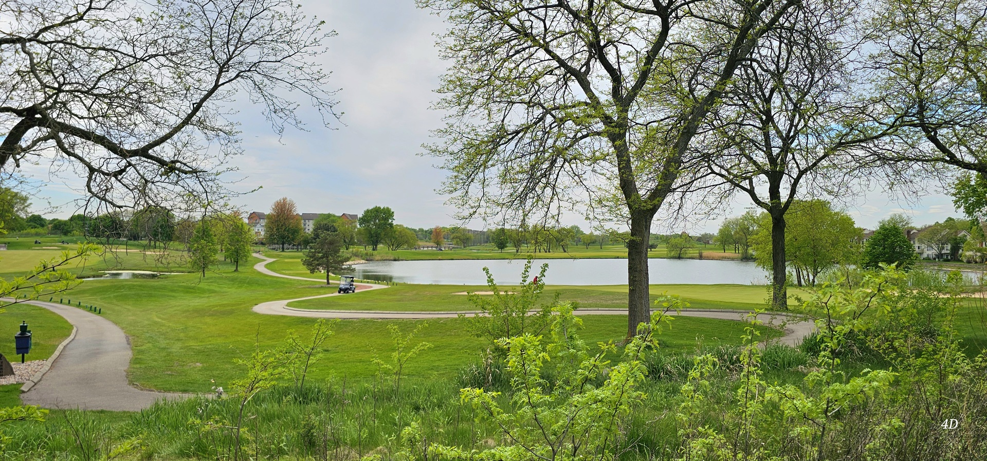 1497 Cornell Court Hoffman Estates, IL 60169 - Photo 30 of 30 a view of a park with large trees