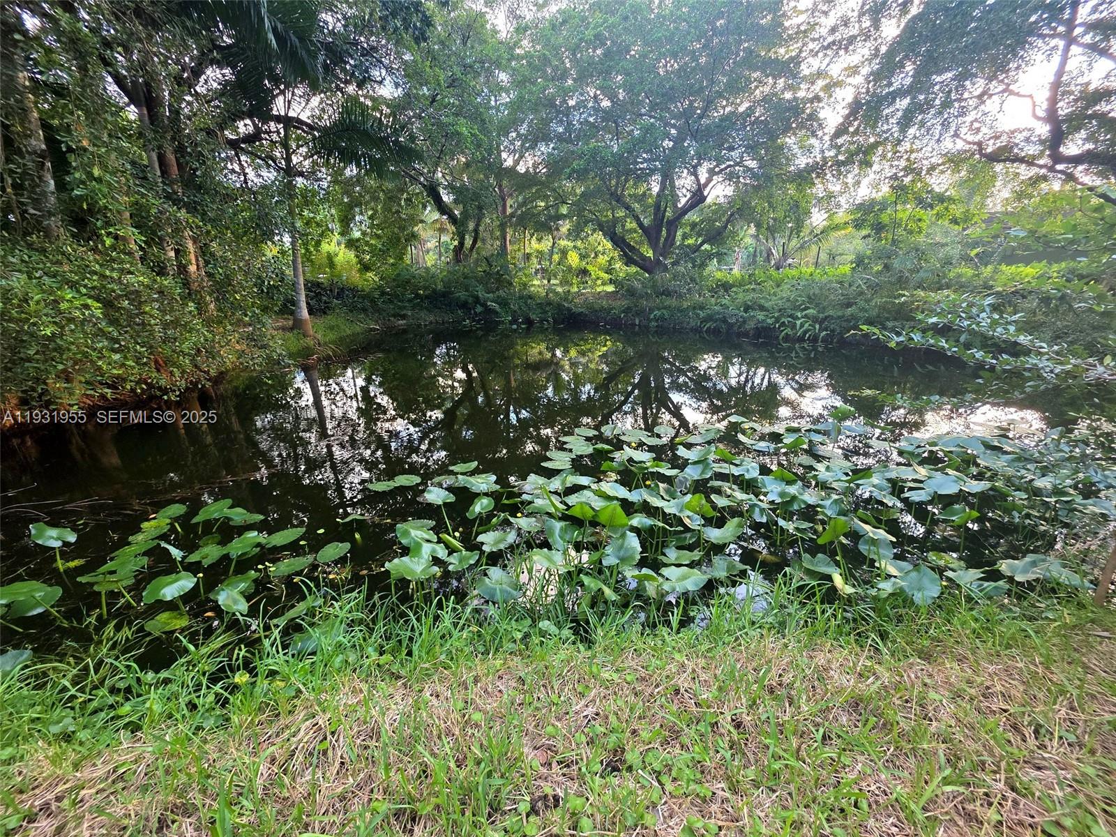 Davie Davie, FL 33314 - Photo 27 of 44 a backyard of a house with lots of green space and a fountain