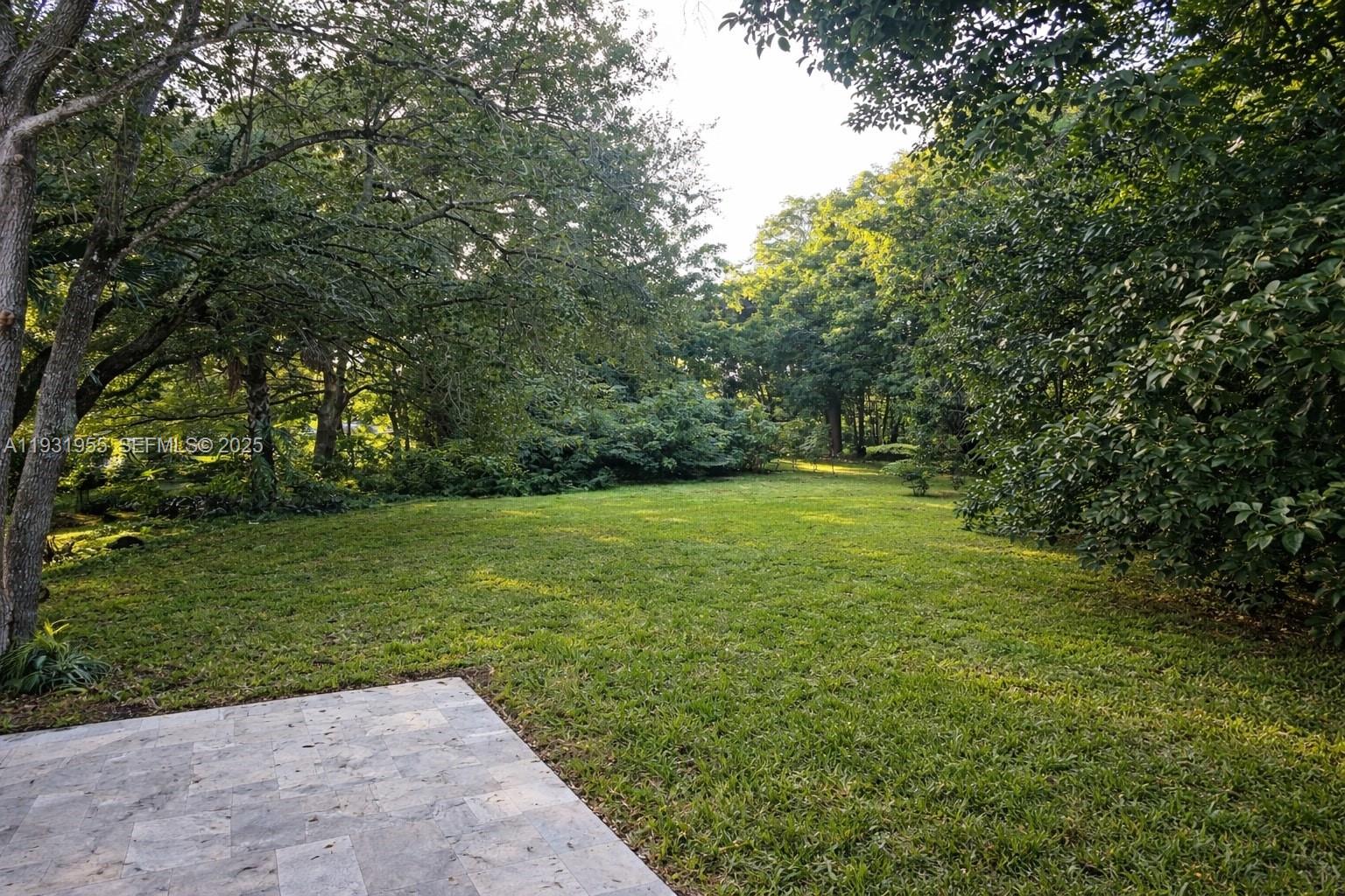 Davie Davie, FL 33314 - Photo 28 of 44 a view of a trees with a yard