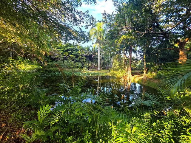 a view of a lush green forest