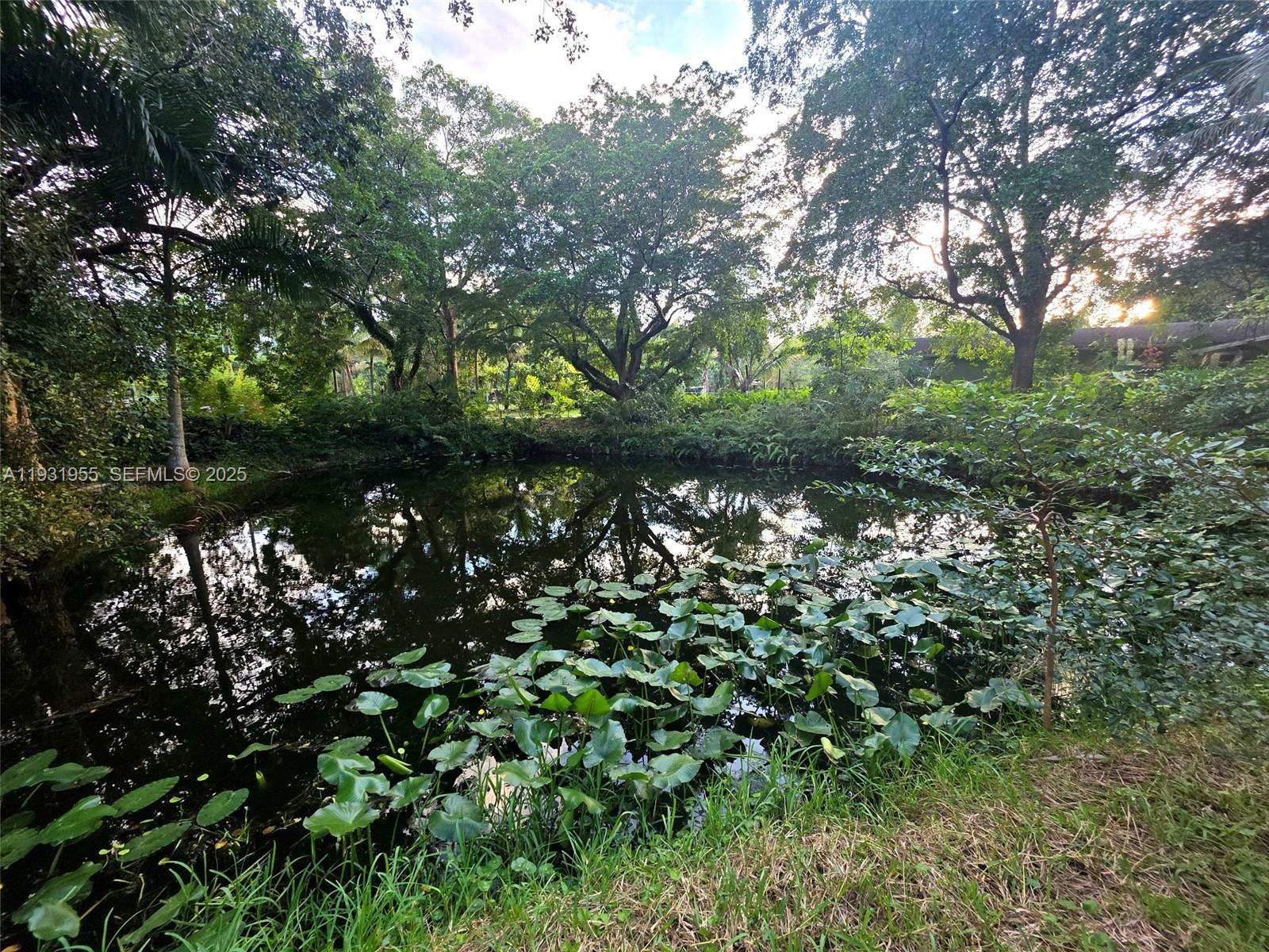 Davie Davie, FL 33314 - Photo 31 of 44 a view of a lush green forest