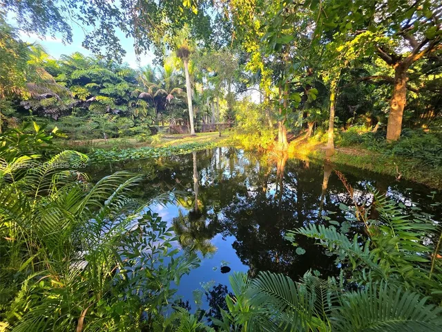 a view of a yard with plants and large trees