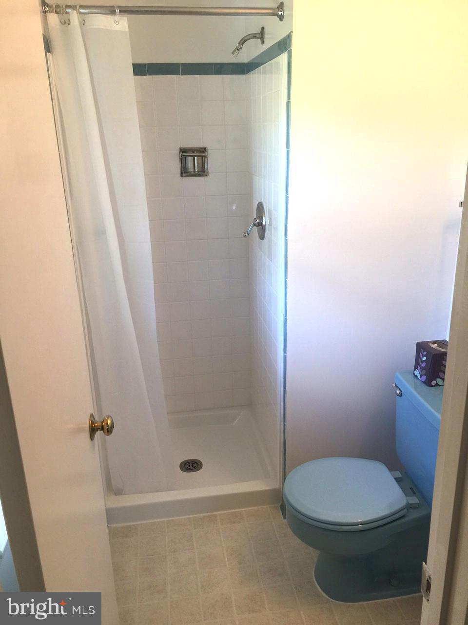 1705 Hopefield Road Silver Spring, MD 20905 - Photo 17 of 21 Bath (Master)