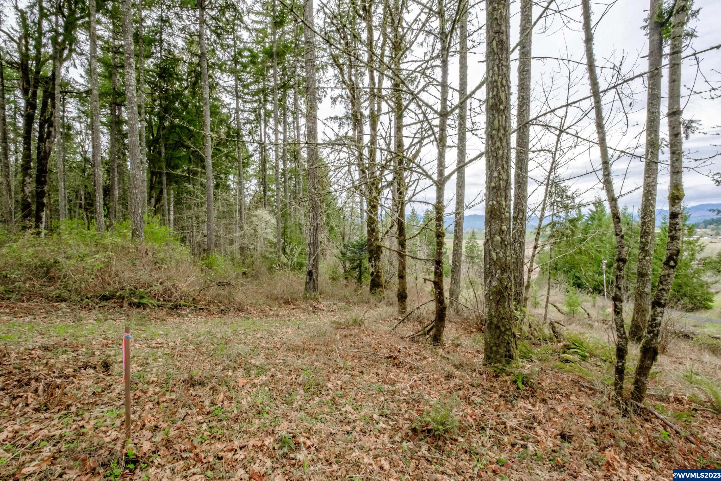 5891 Kings Ridge Road Dallas, OR 97338 - Photo 18 of 42