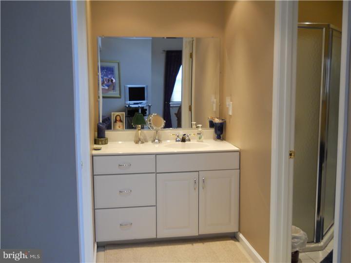 1256 Eagle Road West Chester, PA 19382 - Photo 17 of 18 Master Bathroom