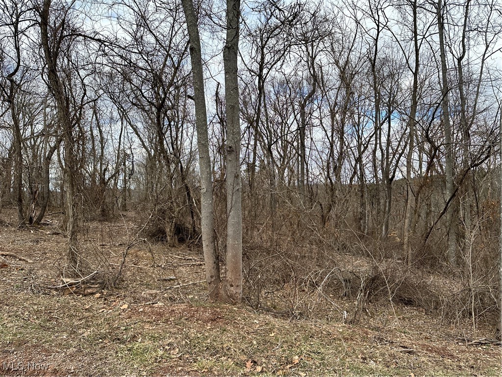 0 Fisher Ridge Road Fleming, OH 45729 - Photo 2 of 6 View of nature