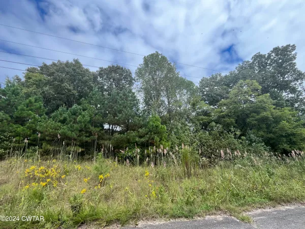a view of a lake with a yard