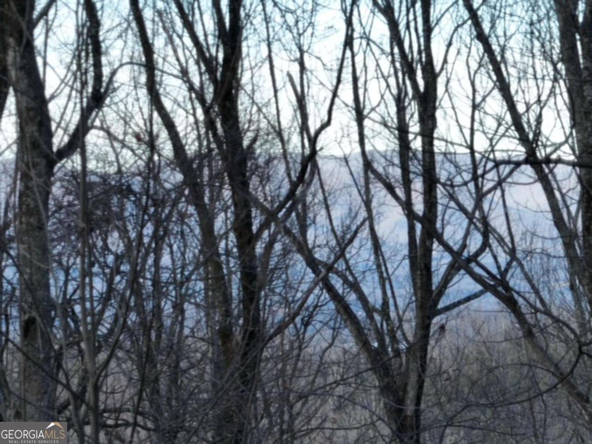 279 Andes Ridge Talking Rock, GA 30175 - Photo 11 of 37