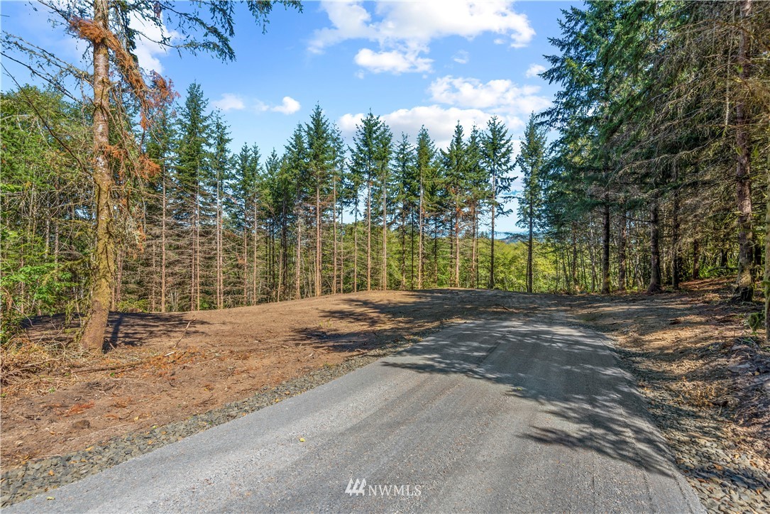 3 Elochoman Valley Road Cathlamet, WA 98612 - Photo 3 of 8 Gallery Image 3