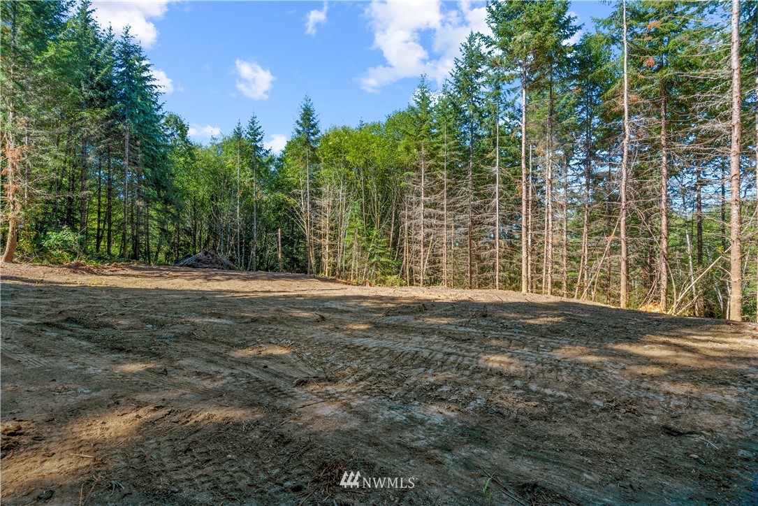 3 Elochoman Valley Road Cathlamet, WA 98612 - Photo 5 of 8 Gallery Image 5