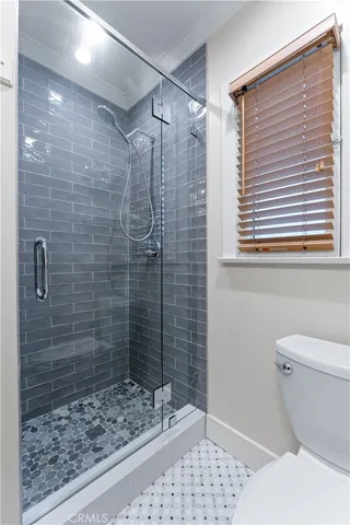 a bathroom with a shower and a toilet