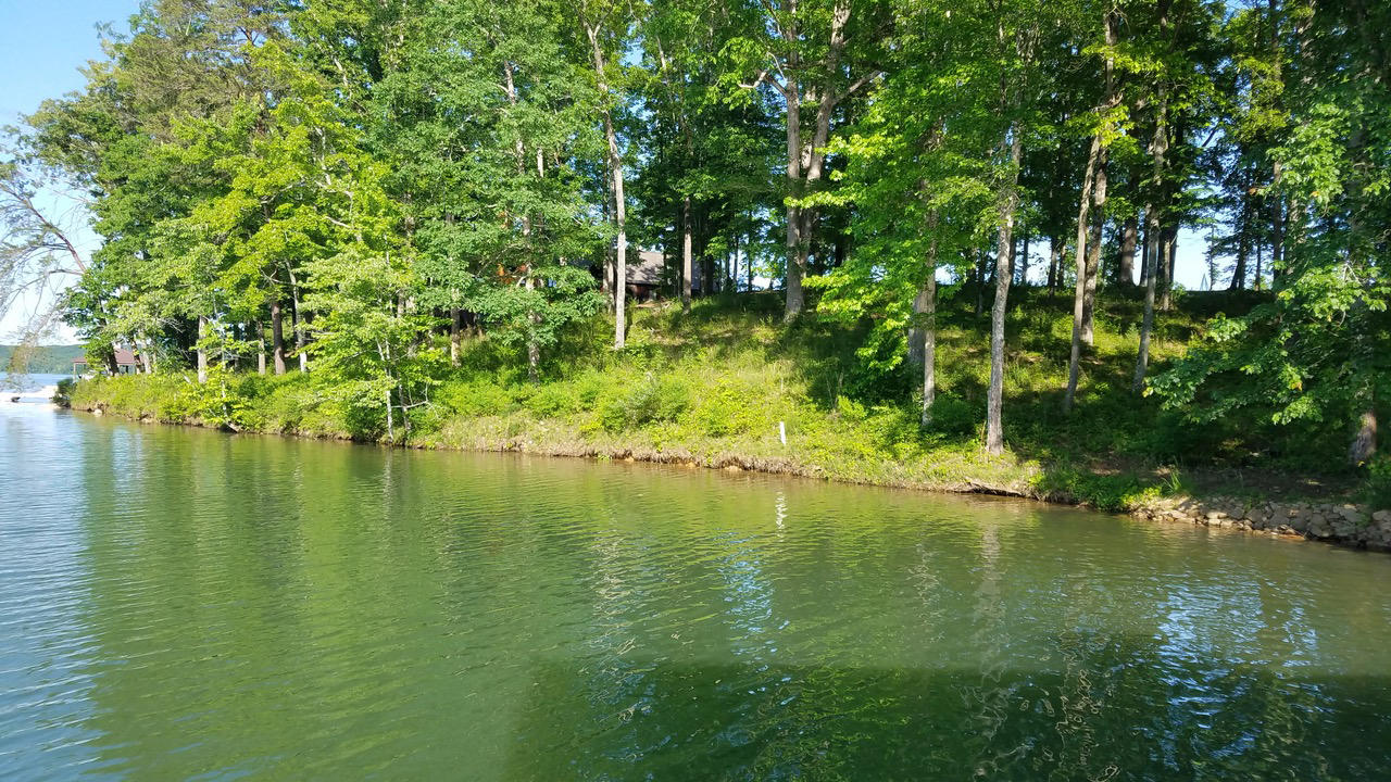 591 Waterfront Way Spring City, TN 37381 - Photo 2 of 9 waterfront way