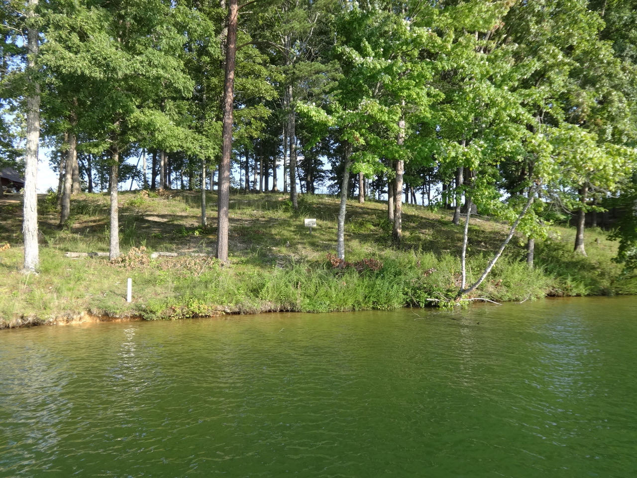 591 Waterfront Way Spring City, TN 37381 - Photo 3 of 9 DSC02622