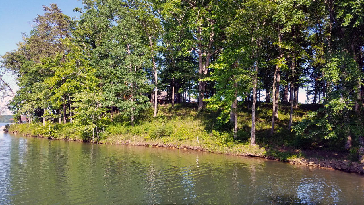 591 Waterfront Way Spring City, TN 37381 - Photo 5 of 9 waterfront way 3