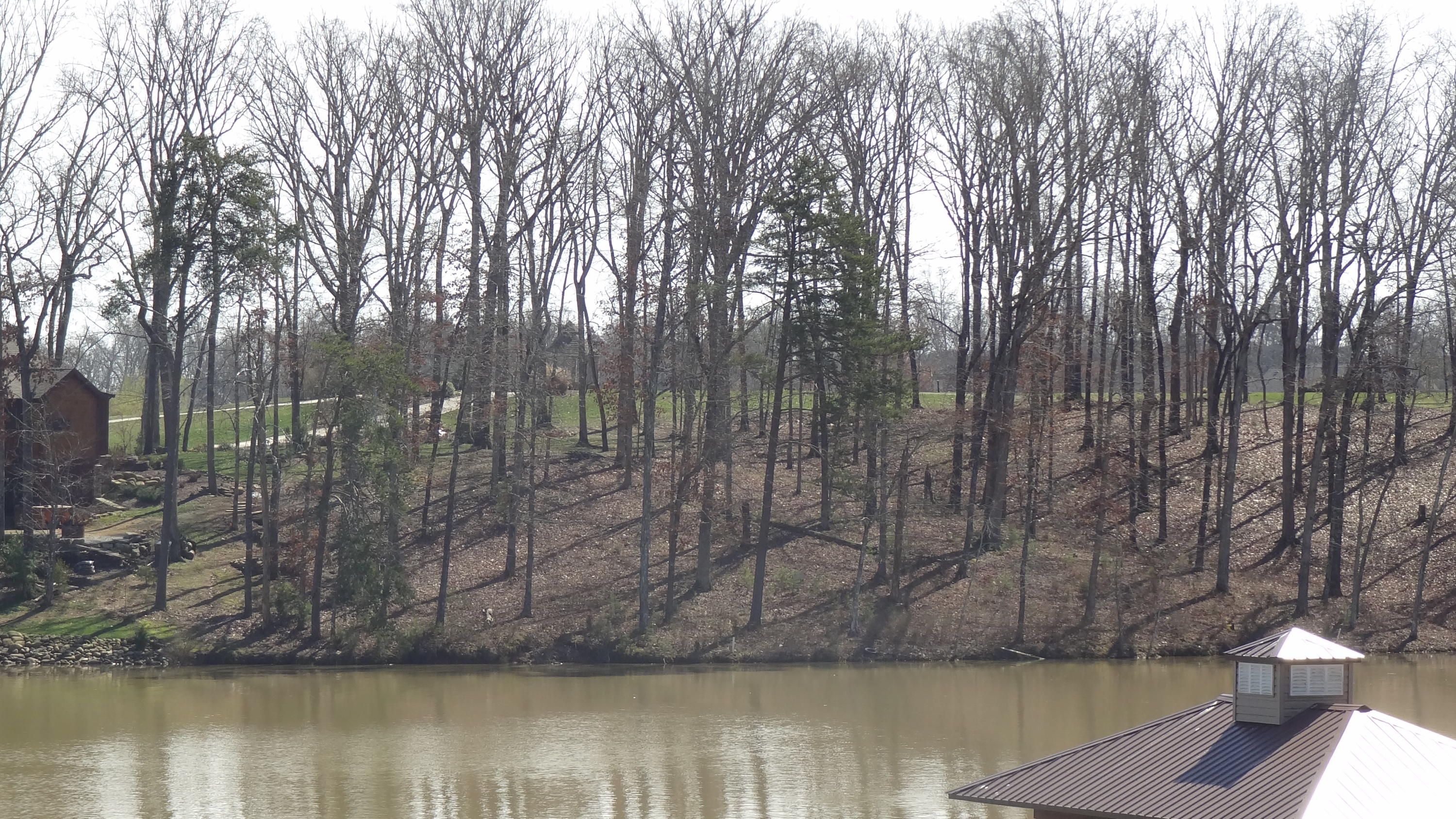 591 Waterfront Way Spring City, TN 37381 - Photo 7 of 9 DSC07766