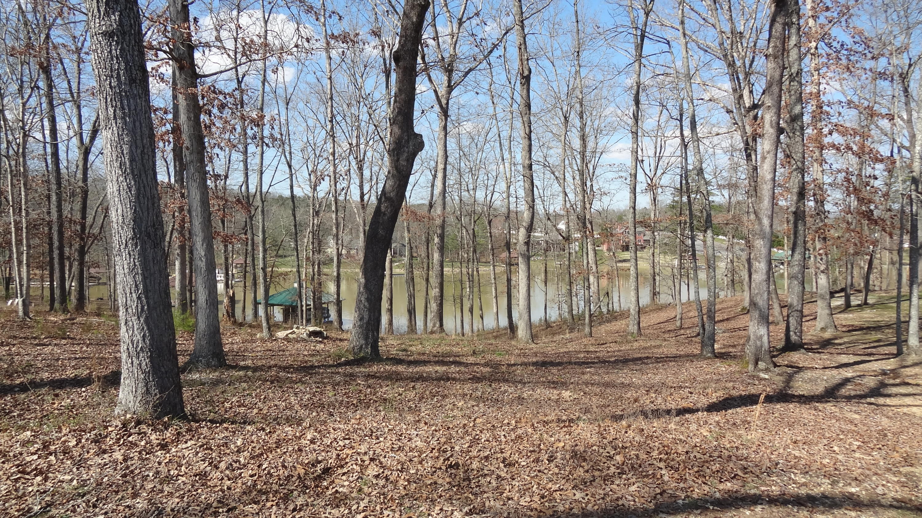 591 Waterfront Way Spring City, TN 37381 - Photo 8 of 9 DSC07767