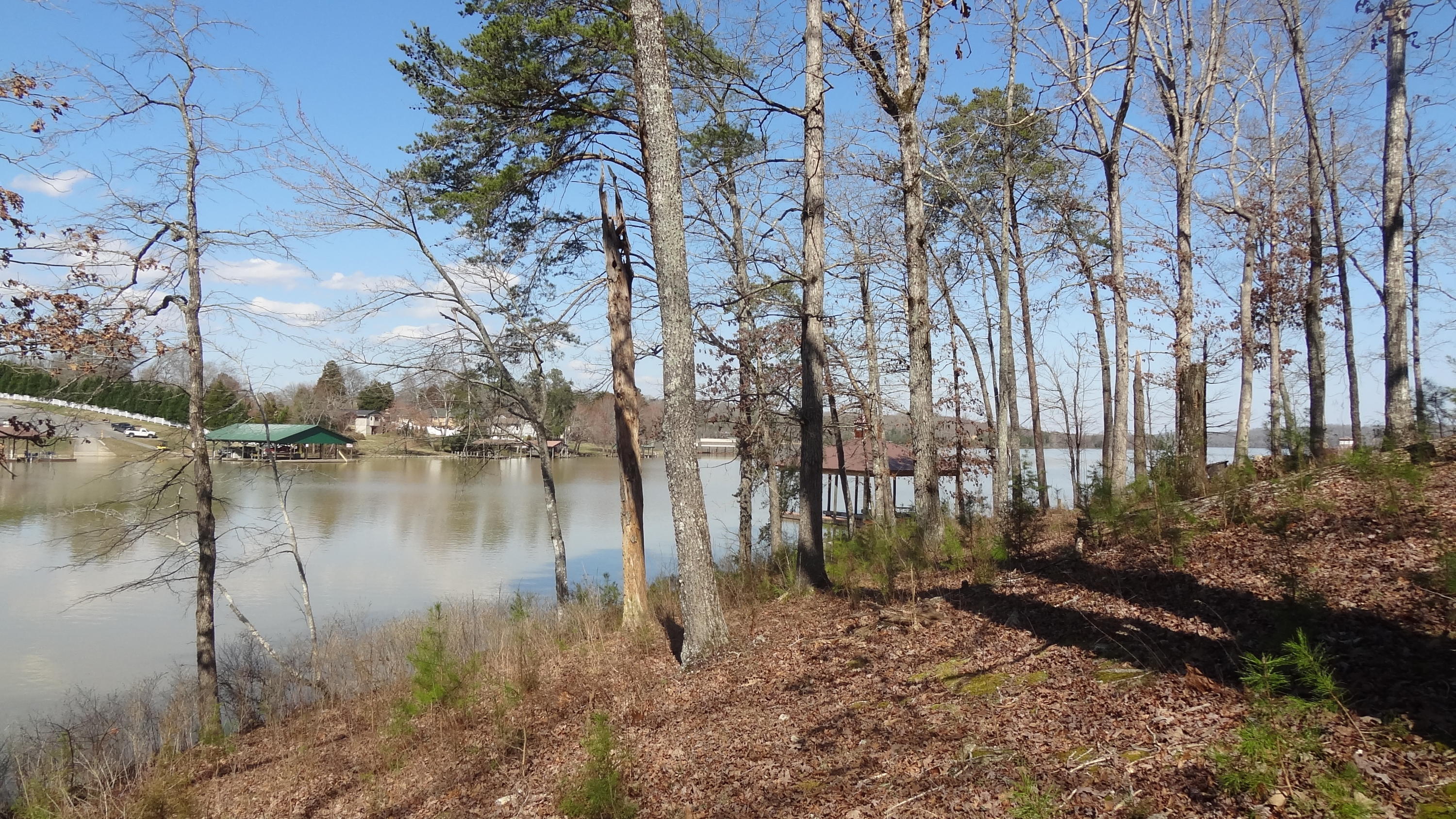 591 Waterfront Way Spring City, TN 37381 - Photo 9 of 9 DSC07770