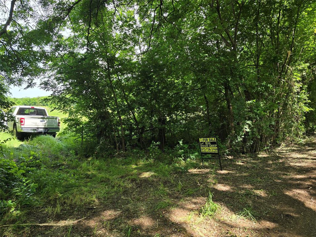 1039 County Road 1039 Blue Ridge, TX 75424 - Photo 4 of 8