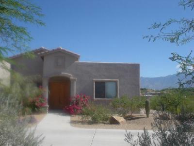 12530 North Copper Spring Trail Tucson, AZ 85755 - Photo 2 of 5