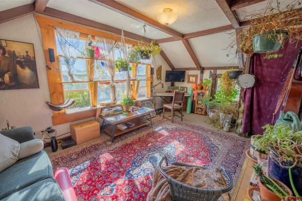 a living room with furniture and a potted plant
