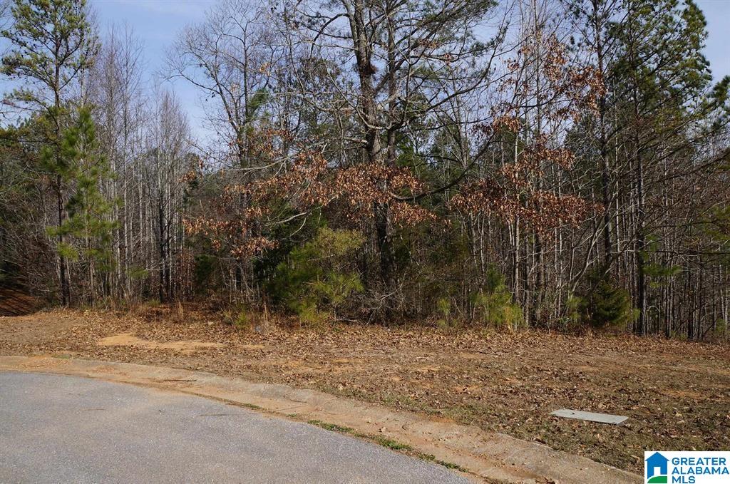 0 Pebble Point, Unit 13 Sylacauga, AL 35151 - Photo 6 of 8