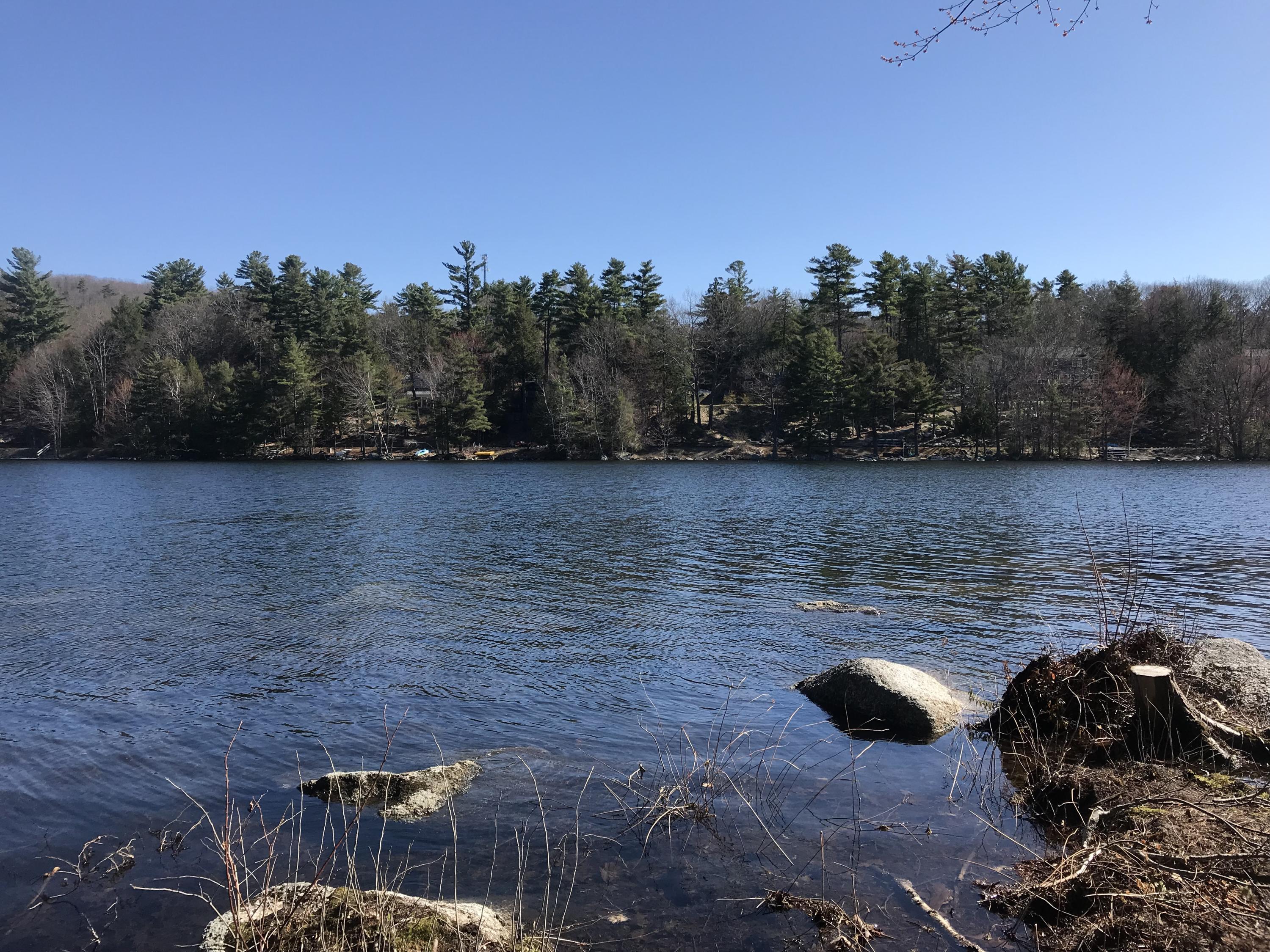 0 Fitts Mountain Road Dedham, ME 04429 - Photo 3 of 83 8UFmVkDLTTqRO5DT6jXyhQ