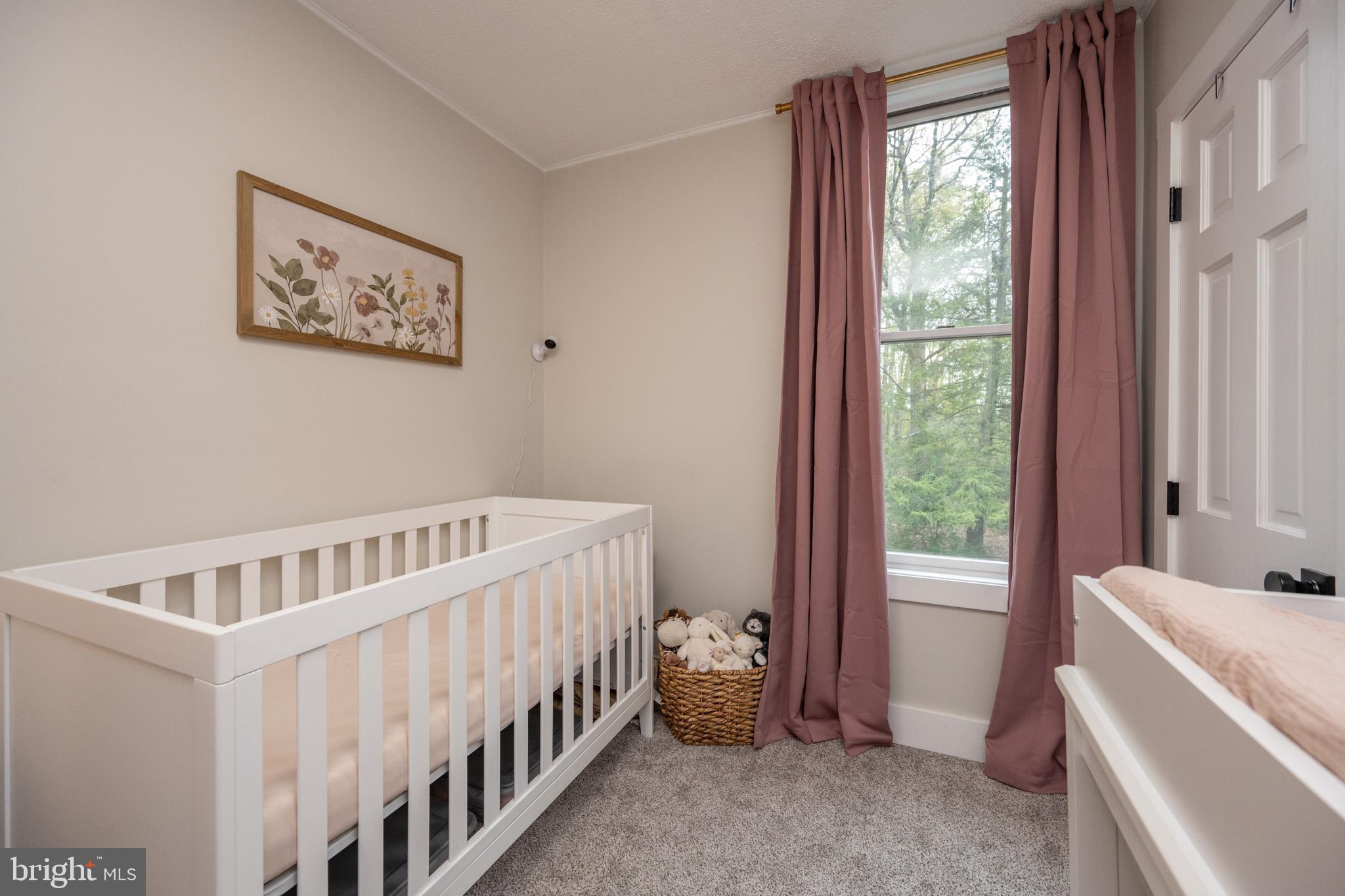 218 Weber Road Oakland, MD 21550 - Photo 32 of 67