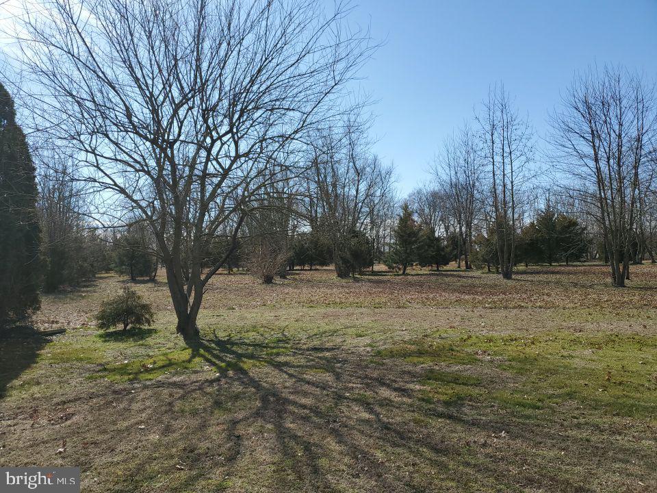 28 Parvin Mill Road Bridgeton, NJ 08302 - Photo 34 of 35