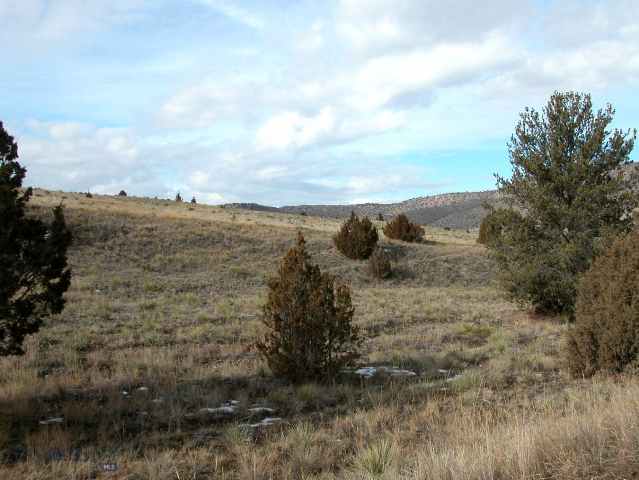 809 Crystal Mountain Road Three Forks, MT 59752 - Photo 1 of 1 Gallery Image 1