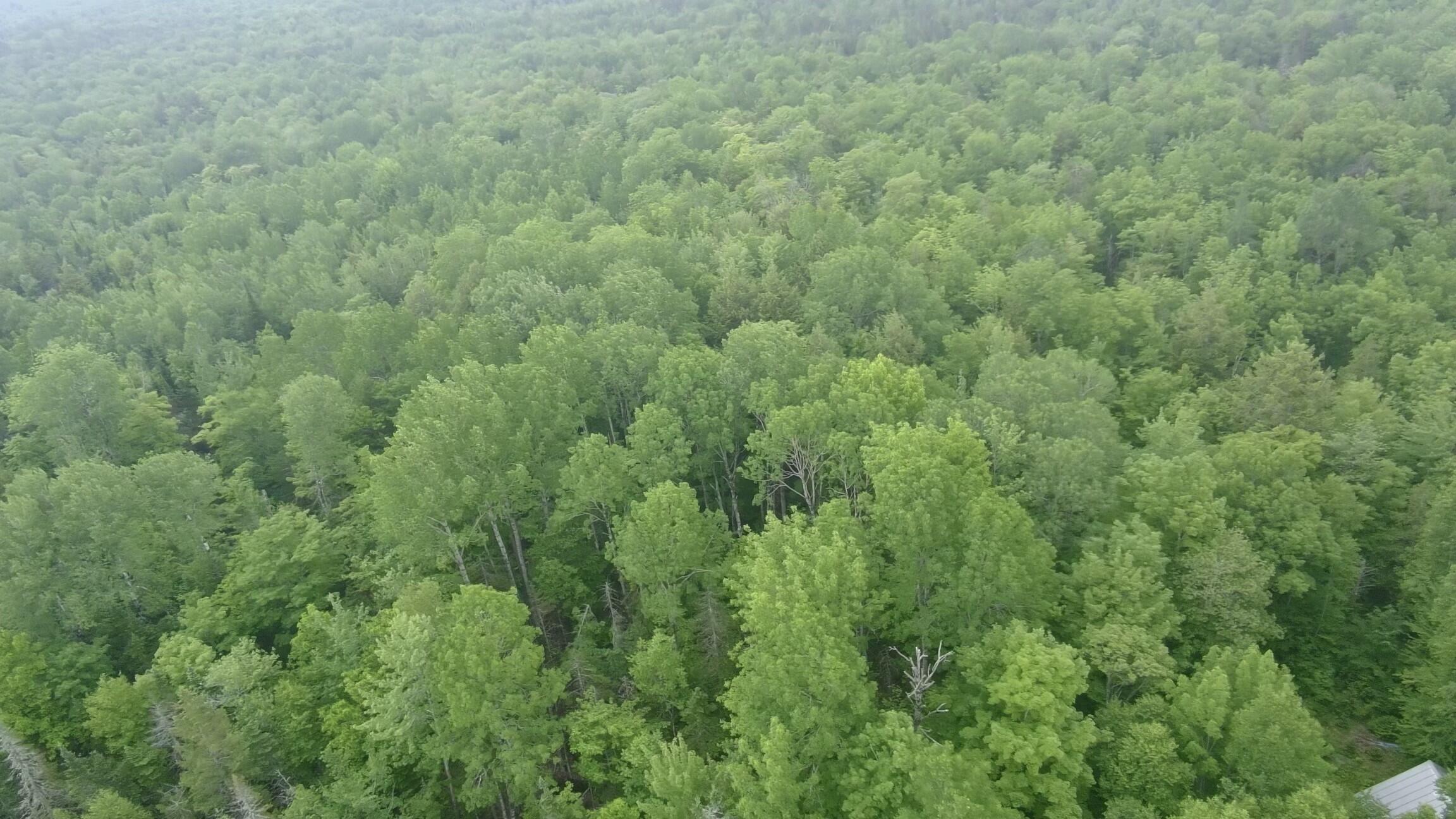 Tbd Baird Road Wellington, ME 04942 - Photo 41 of 44 3694474_100DRONE_SING0462 2