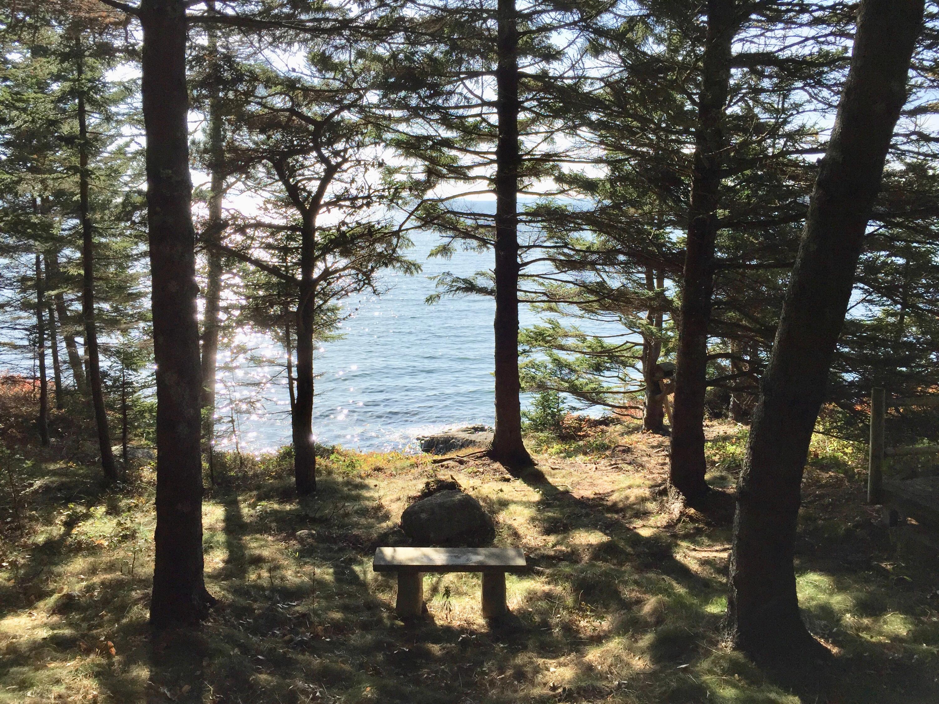 16 Rocky Coast Road Tremont, ME 04612 - Photo 4 of 40 IMG_2762