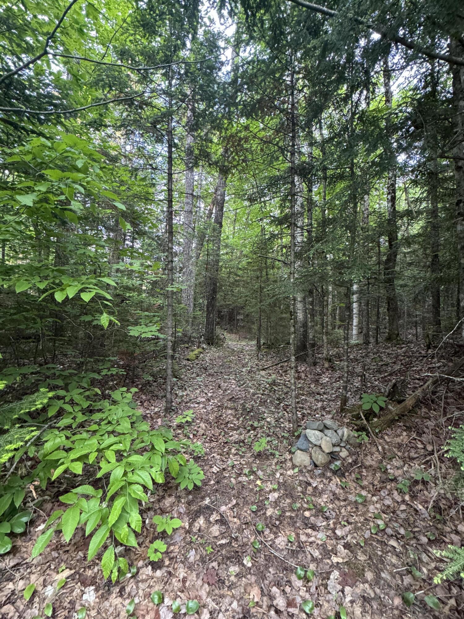1215 Elliotsville Road Monson, ME 04464 - Photo 82 of 83 IMG_3687