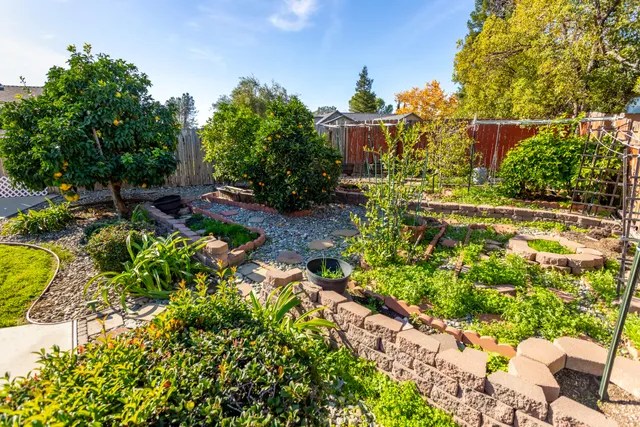 a view of a yard with plants and tree