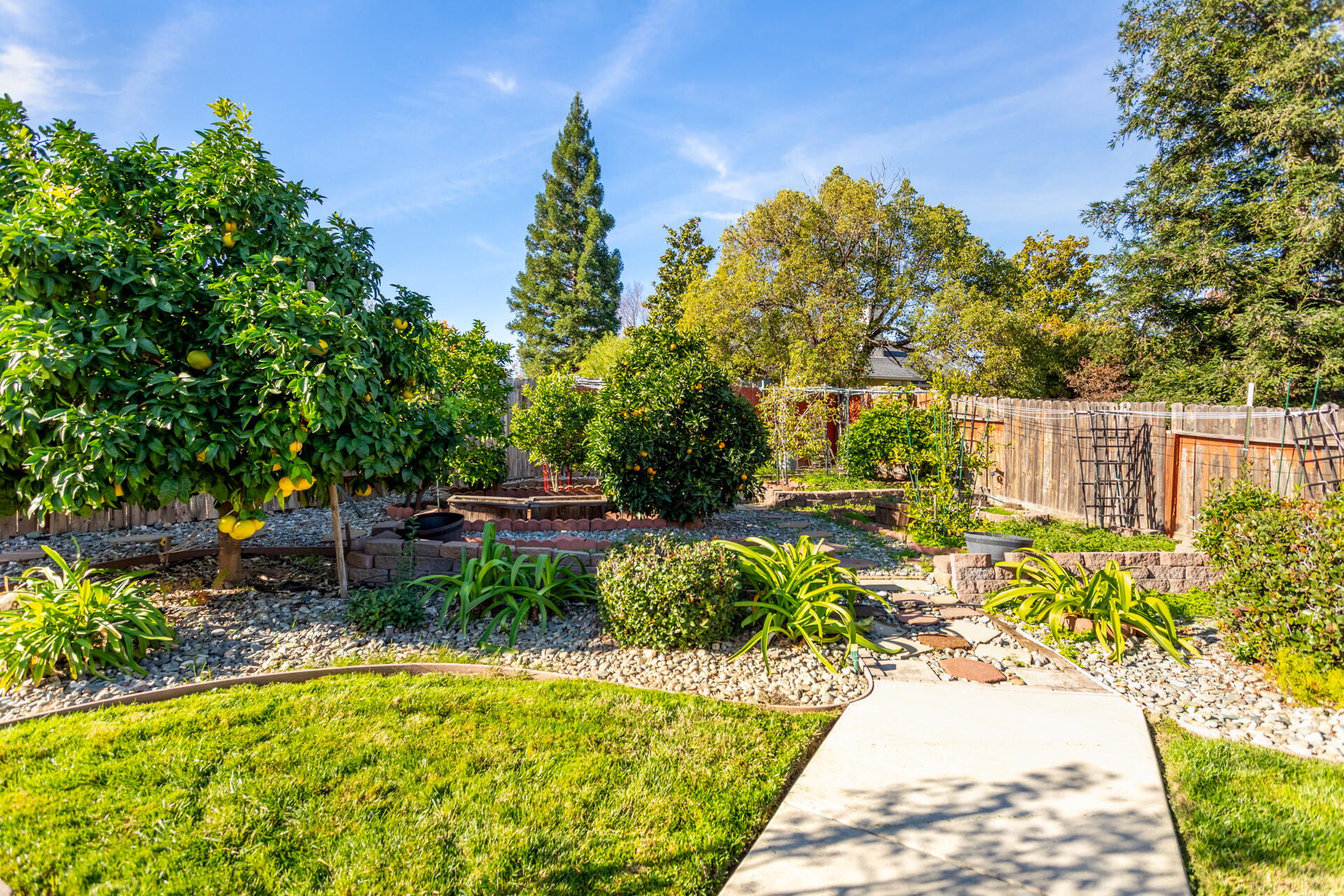 4368 Wild Flower Way Redding, CA 96001 - Photo 33 of 45 Terraced garden area
