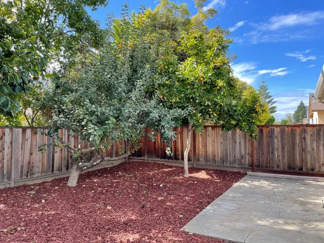 a view of a backyard with wooden fence