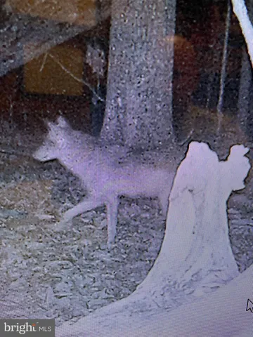 a backyard of a house